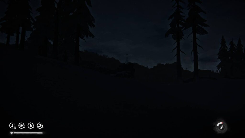 The Long Dark noc