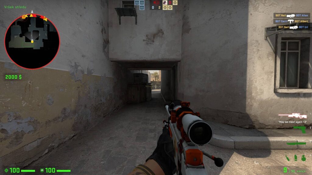 CS:GO suicide