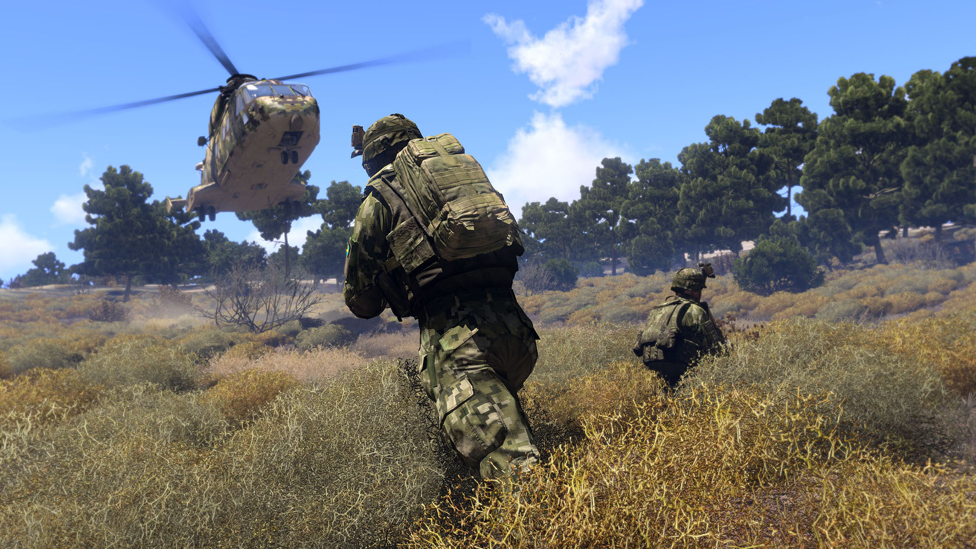 Arma 3 11